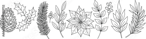 Holiday botanical illustration, festive plant artwork, seasonal vector design, bold graphic icon, black white winter symbol