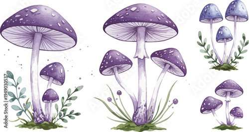 Whimsical illustration of unicorns and fantasy creatures in pastel colors for kids