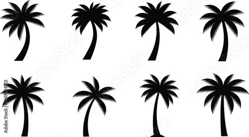 Black palm tree silhouette collection isolated on white background, tropical coconut leaf icons for summer beach vacation and exotic landscape.