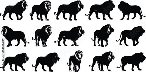 Black lion silhouette set, wild animal vector icons, majestic male lions standing walking side view, predatory feline silhouettes, savanna wildlife graphics.