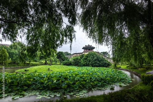 Yongyeon Pond at Suwon Hwaseong Fortress in Summer