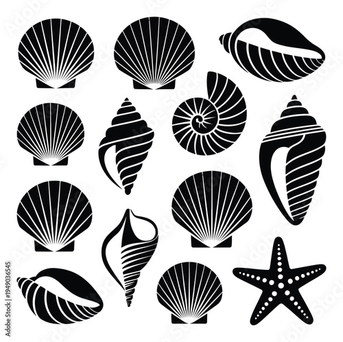 Black Seashells and Starfish Vector Illustration