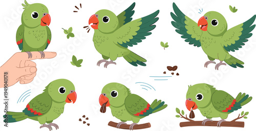 Cute cartoon parrot vector set green tropical birds eating seeds flying sitting on branch friendly pet bird illustration collection isolated background