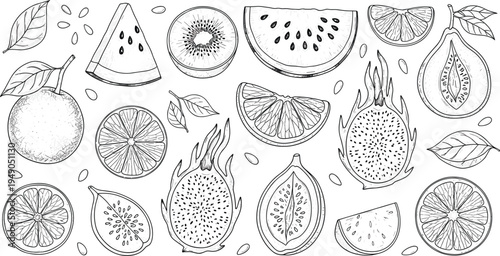 Hand Drawn Tropical Fruits Sketch Collection Featuring Watermelon Kiwi Orange Dragon Fruit Citrus Slices Seeds and Leaves Vintage Engraving Style Vector Set