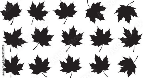 Black Maple Leaves Silhouettes on White Background Pattern