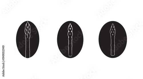 Three white asparagus spears on dark circular backgrounds side by side on white background  vegetable icons