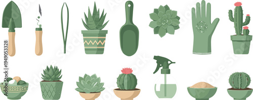 Succulent Plants and Gardening Tools Vector Set Featuring Pots, Cacti, Sprayers, and Gardening Gloves for Plant Care and Indoor Gardening