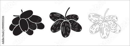 Black and white illustrations of clusters of tropical fruit on white background