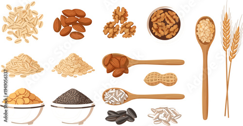 Nuts and Seeds Vector Set Featuring Almonds, Walnuts, Sunflower Seeds, Peanuts, and Grains for Healthy Eating and Plant-Based Diet
