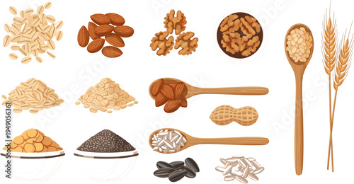 Nuts and Seeds Vector Set Featuring Almonds, Walnuts, Sunflower Seeds, Peanuts, and Grains for Healthy Eating and Plant-Based Diet
