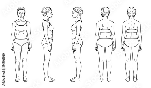 Female body reference sheet with front side three quarter and back view vector