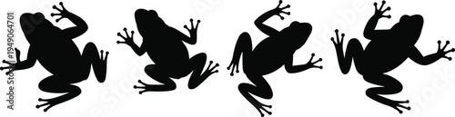 Frog silhouettes set with jumping amphibian poses isolated on light background wildlife animal vector graphic design elements collection