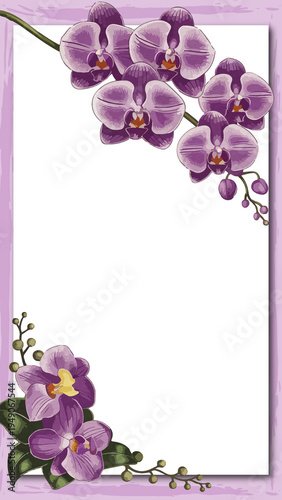 Purple Orchid Floral Frame with Phalaenopsis Flowers on Lilac Background