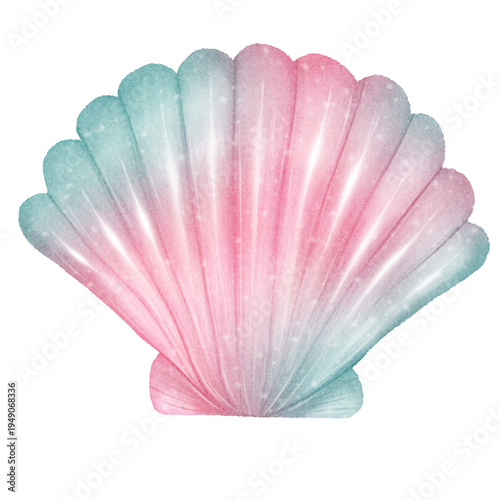Pastel seashell illustration isolated on transparent  background, decorative ocean shell clipart