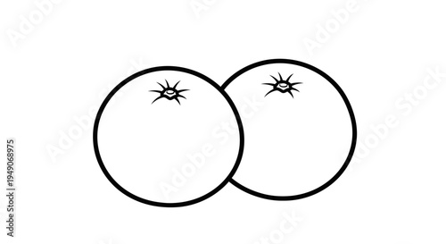 Minimalist Outline Illustration of Two Oranges, Simple Citrus Fruit Icon