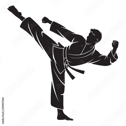 A dynamic black silhouette of a martial artist performing a powerful high kick silhouette