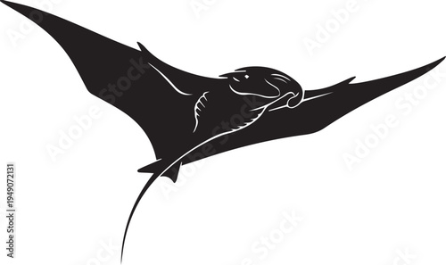 Manta ray vector illustration. graceful ocean creature silhouette line art marine life