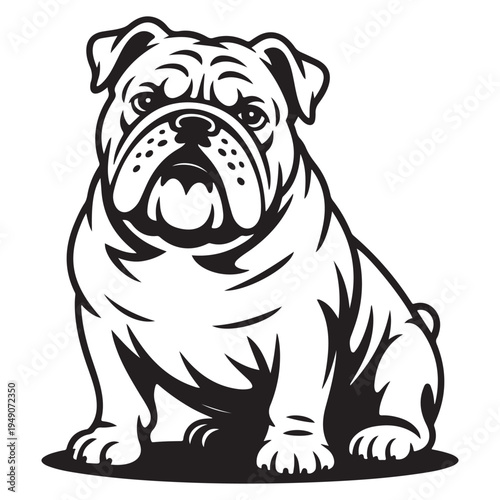 A detailed black and white illustration of a stoic english bulldog stark silhouette