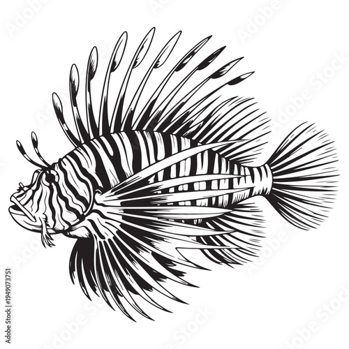 Intricate illustration of a lionfish with striped patterns and flowing fins a striking silhouette