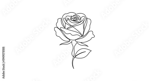 Continuous line art rose illustration on white background
