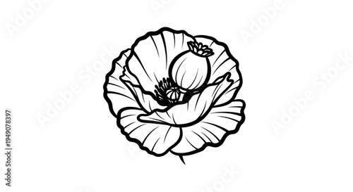 Black outline poppy flower with seed pod illustration