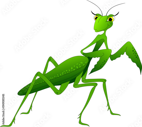 Praying mantis. Green insect. Character.