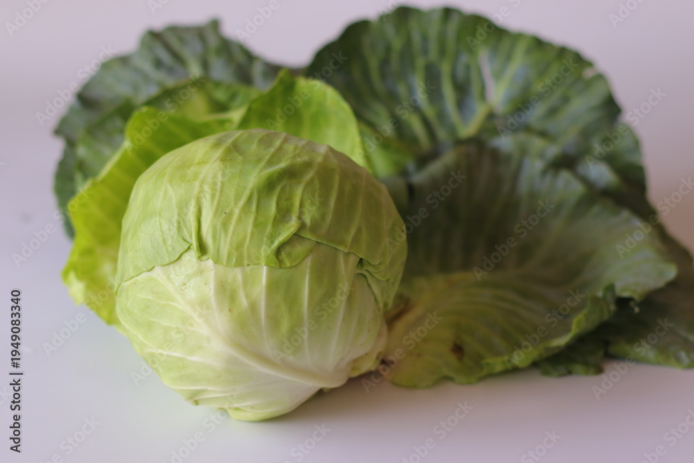 Fototapeta premium Fresh Green Cabbage with Outer Leaves on White Background