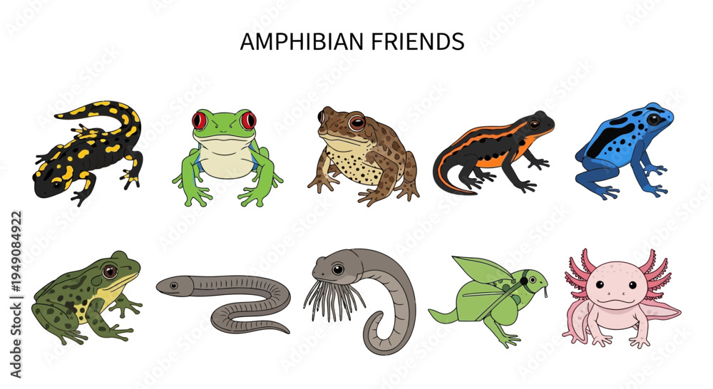 Εκτύπωση καμβά Ten illustrated amphibians including salamanders frogs a caecilian and an axolot