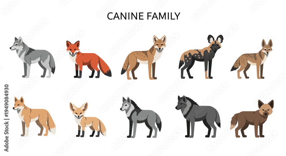 Obraz premium Illustrations of ten different canine family members on a white background