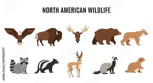 Flat illustration of ten North American wildlife animals arranged in two rows