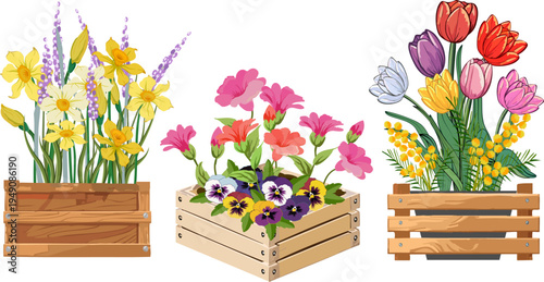 Flower seedlings in wooden boxes.Vector set of wooden boxes with flowers on transparent background.