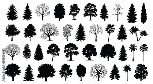 Coniferous Forest Tree Silhouette Set with Pine, Spruce and Fir Trees, Isolated Black Forest Tree Collection on White Background for Nature Design, Landscape Illustration, Logo, Forestry Graphics and 