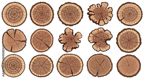 Collection of various tree trunk cross sections.