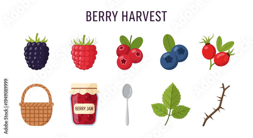 Flat illustration of various berries jam basket spoon leaf and thorn