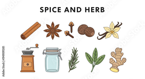 Illustration of various spices herbs and kitchen tools on a white background