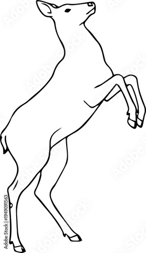 deer black silhouette wild life