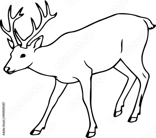 deer black silhouette wild life