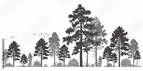 Minimal CAD Tree Line Drawing with Hand Drawn Architectural Trees, Side View Outline Symbols for Landscape Design, Clean Line Vector Illustration Texture with Transparent Background for Architecture P
