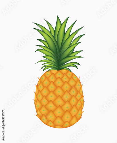 Fresh pineapple tropical fruit isolated on white background healthy organic food