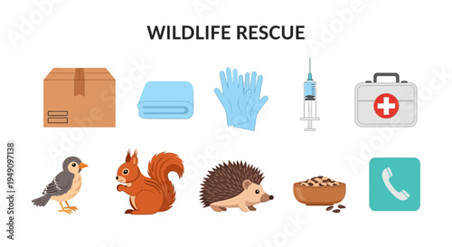 Wildlife rescue items box towel gloves syringe first aid kit bird squirrel hedgehog food phone icon