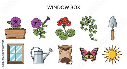 Collection of window box gardening illustrations including plants tools and sun