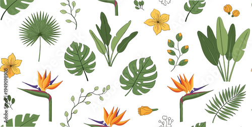 Tropical leaves and exotic flowers vector set featuring monstera, palm, bird of paradise and jungle botanical elements decorative illustration collection