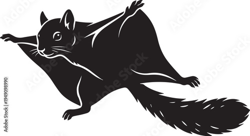 Black silhouette of a flying squirrel, isolated on white background, vector graphic