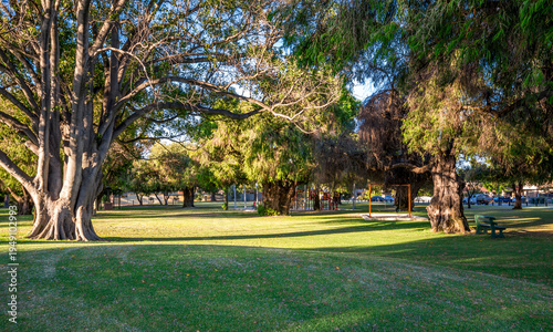 Sunny Olives Reserve Public Park With Large Trees, Playground, Green Grass and Shaded Benches in Afternoon, Perth, Australia, 25 November 2021