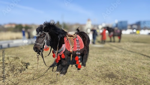 horse racing horse
