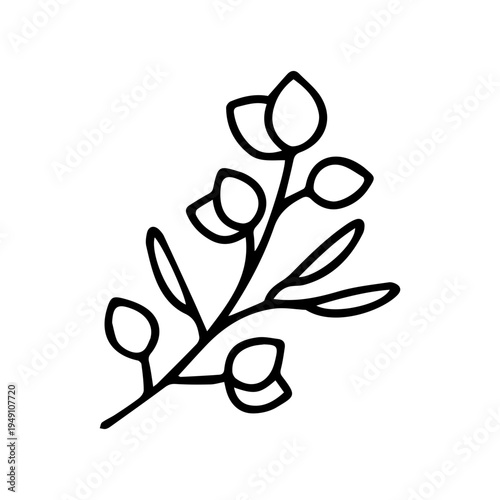 Botanical branch illustration