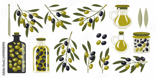 Illustration of olives olive branches and olive oil bottles