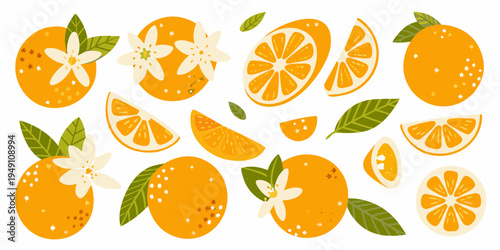 A colorful collection of oranges blossoms and sliced fruit elements