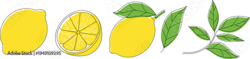 Lemon fruit collection with slice and green leaves isolated on white background fresh citrus food vector illustration set
