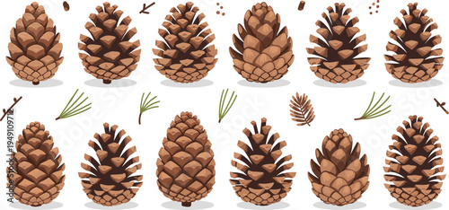 Collection of brown pine cone vector illustrations featuring various shapes with pine needles and small branches for winter holiday and autumn nature designs